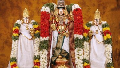 Tirupati–Tirumala Navaratri Brahmotsavams: Lord Venkateshwara Blesses Devotees in Ekantham on the Great Garuda Vahanam at Tirumala Temple, Colorful Navaratri Brahmotsavams began with Pedda Sesha Vahana, Lord Balaji on Kalpavruksha Vahanam: Glorious Navaratri Brahmotsavams at Tirumala, Tirupati–Tirumala: On Day 3 Navaratri Brahmotsavams, Lord Venkateshwara Blesses His Devotees on Simha Vahana & MuthyapuPandiri, Navratri 2020, Tirupati Navratri, Tirumala Navratri