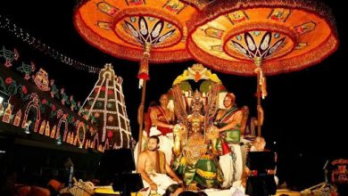 Lord Balaji on Kalpavruksha Vahanam: Glorious Navaratri Brahmotsavams at Tirumala, Tirupati–Tirumala: On Day 3 Navaratri Brahmotsavams, Lord Venkateshwara Blesses His Devotees on Simha Vahana & MuthyapuPandiri, Navratri 2020, Tirupati Navratri, Tirumala Navratri